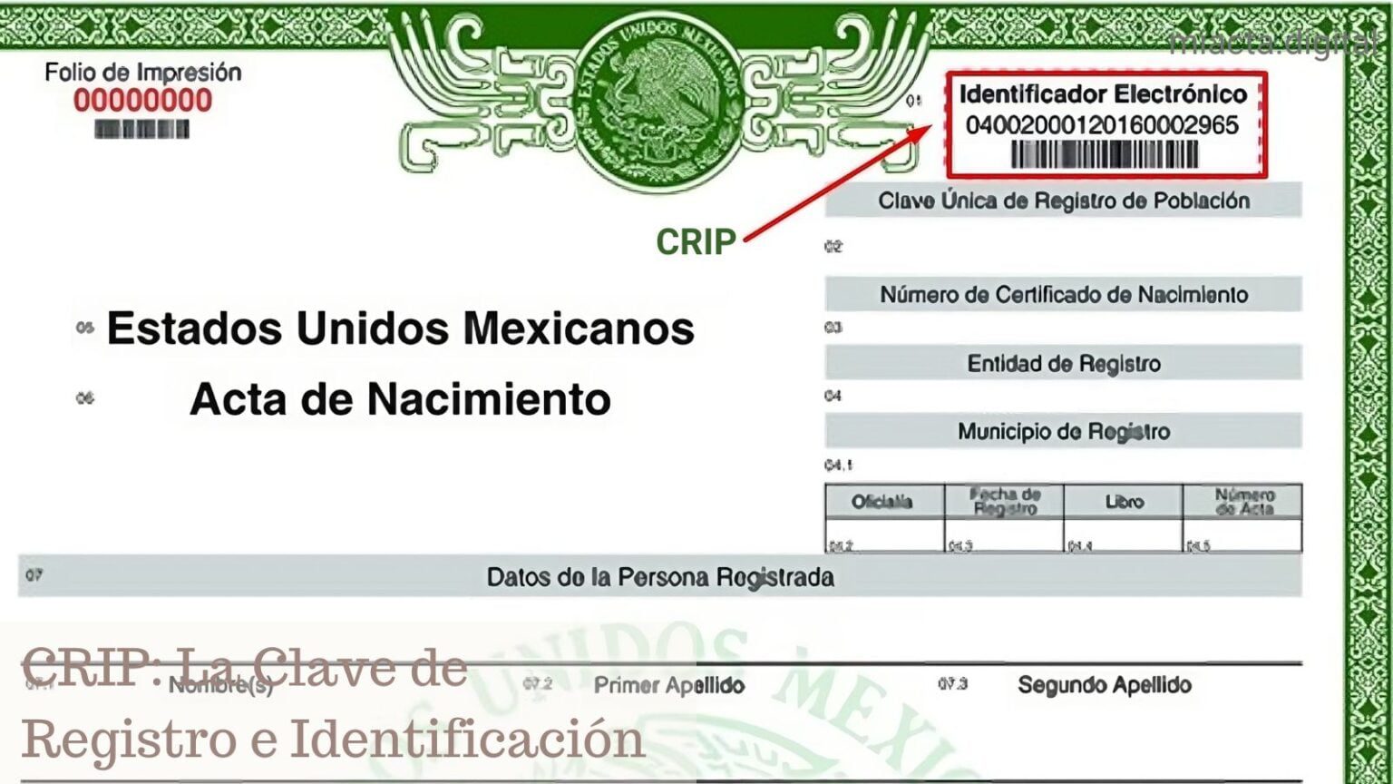 Crip La Clave De Registro E Identificaci N Personal En Tu Acta De