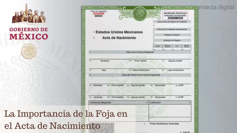 La Importancia de la Foja en el Acta de Nacimiento