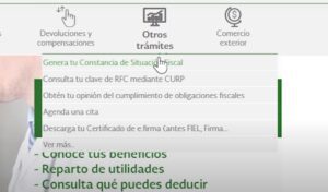 genera tu constancia de situacion fiscal